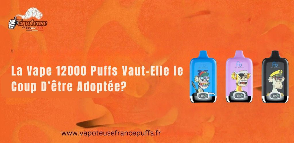 Is de 12K Puff Vape echt de Moeite Waard om naar Over te Schakelen?