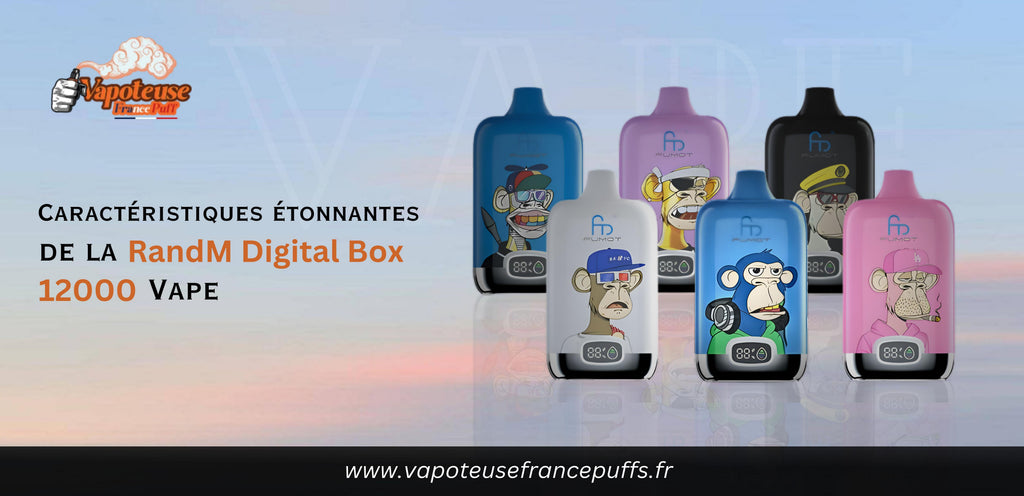 Caractéristiques étonnantes de la RandM Digital Box 12000 Vape