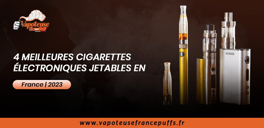 4 Meilleures vapoteuses jetables en France | 2023