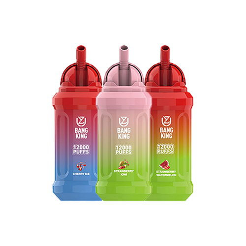 Bang King 12000 Puffs Wegwerp Vape (Doos van 10)