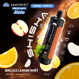 Hayati Shisha 15k Puffs Wegwerp Vape (Doos van 10)