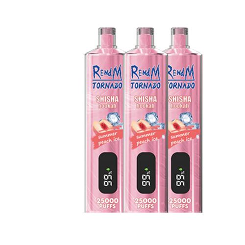 REndM Shisha 25000 Puffs (Doos van 10)