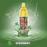 R&M Paradise 10000 Wegwerp Vape (doos van 10)